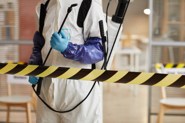 Professional Blood Cleanup technician working in Palm Beach, FL